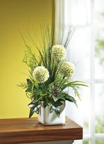 Arrangemang av Allium 