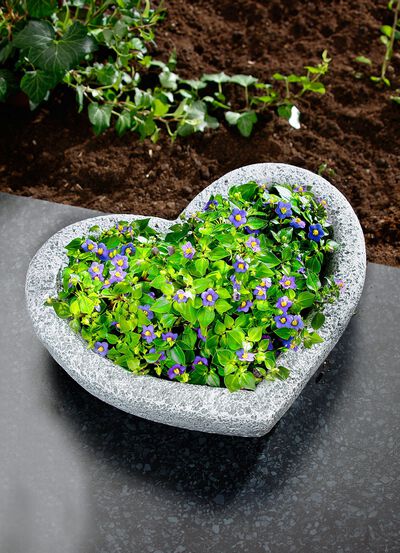 Hj&auml;rtv&auml;xtsk&aring;l av v&auml;derbest&auml;ndig polyresin 