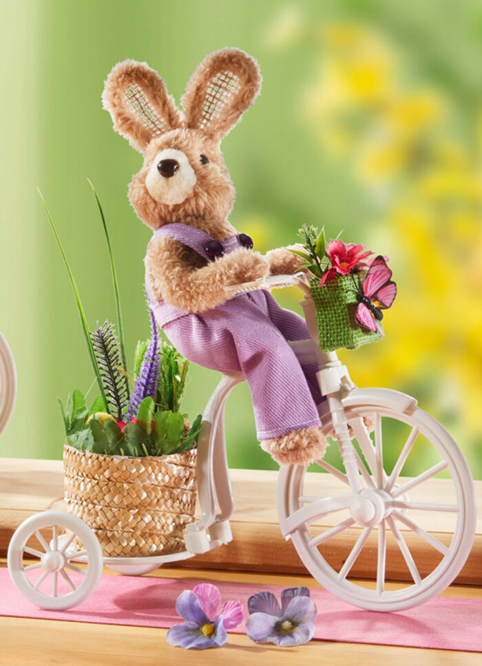 Kanin på cykel BUNT