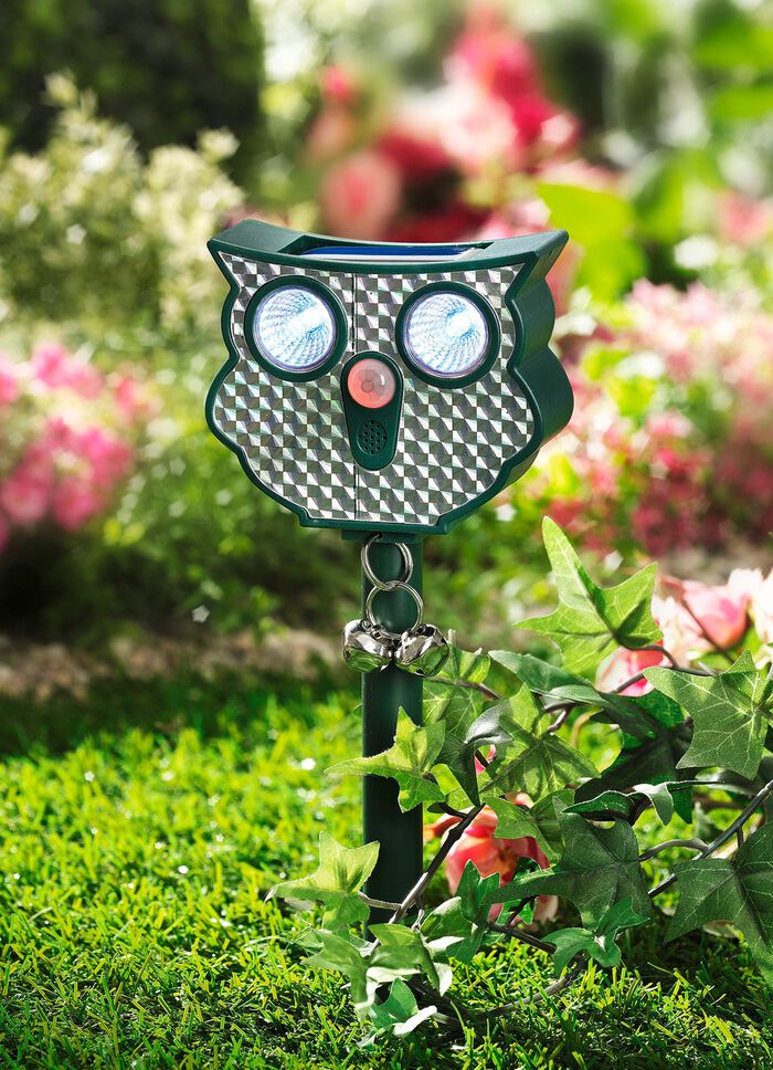 Solar Ultrasonic Djuravvisande Uggla 