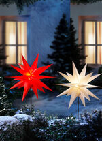 Julstjärna med markspett 