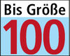 BADERsv_SE1Logo_BisGroesse100