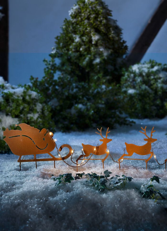 Jultomten med rensl&auml;de 