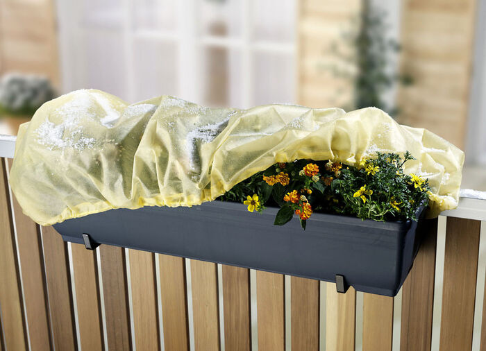 Flower box huvar, set om 2, 