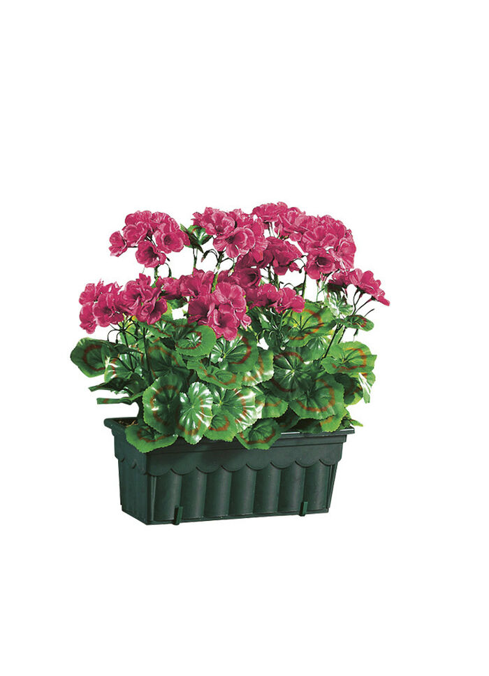 Bedrägligt verkliga pelargoner med balkonglåda ROSA