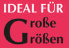 BADERsv_SE1IdealFuerGrosseGroessen