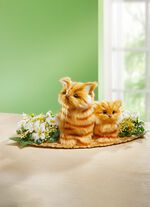 Cat bord arrangemang 