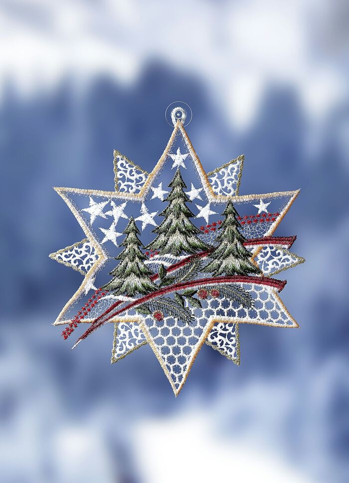 F&ouml;nsterbild gjord av &auml;kta Plauenspets 