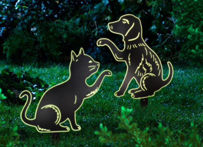 S&auml;ngstake "Cat", gl&ouml;dande p&aring; natten 