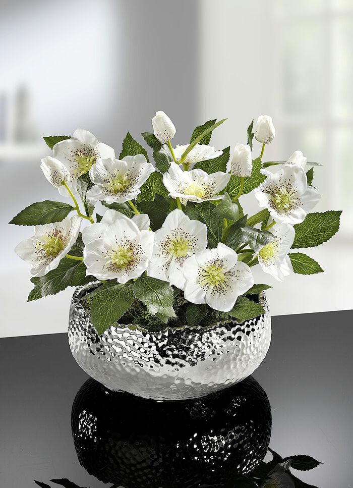 Julrosor i sk&aring;lar i olika f&auml;rger 