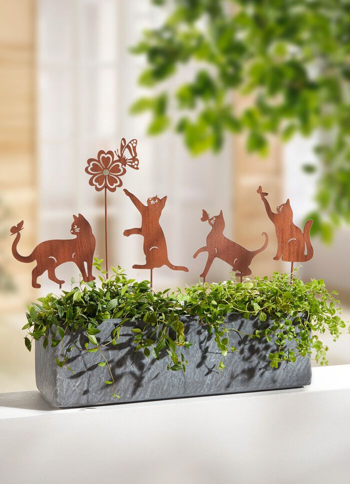 Katttr&auml;dg&aring;rdsp&aring;lar, set om 5 