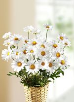 tusensk&ouml;na grenar, upps&auml;ttning av 3 