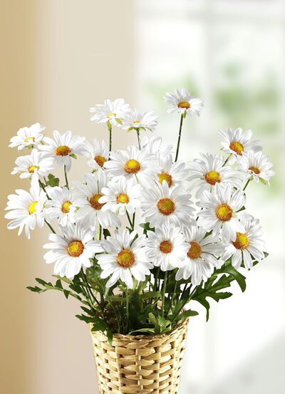 tusensk&ouml;na grenar, upps&auml;ttning av 3 