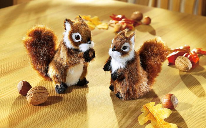 ekorrar, upps&auml;ttning av 2 