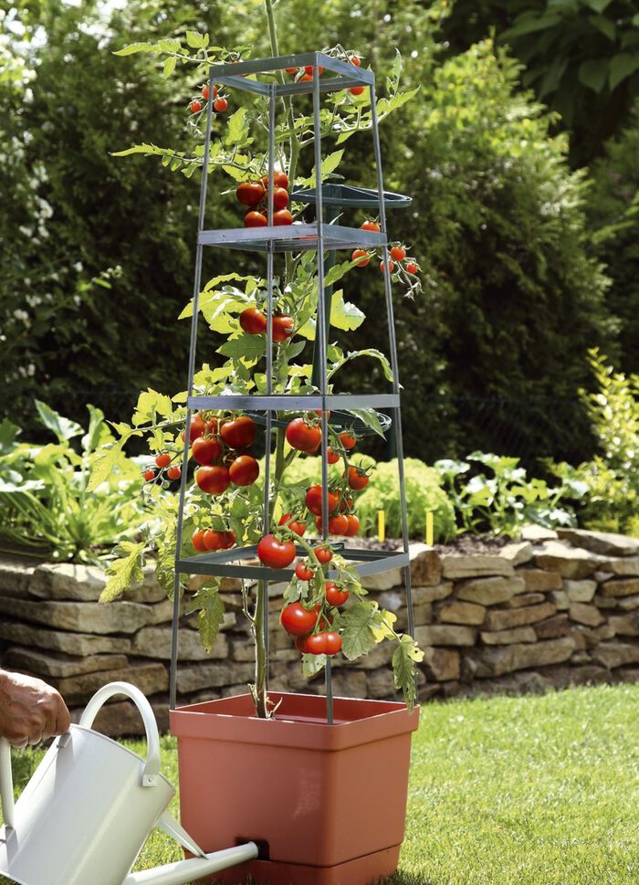 MAXITOM tomatspalj&eacute; komplett set 