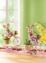 Kanin p&aring; cykel 