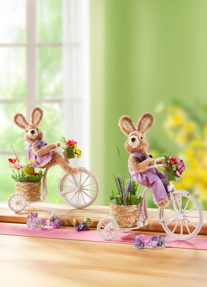 Kanin p&aring; cykel 