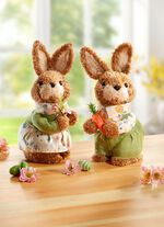 Ett par plyschkaniner, set om 2 