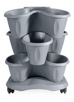 V&auml;xttorn "Trifoglio", gr&aring;tt 