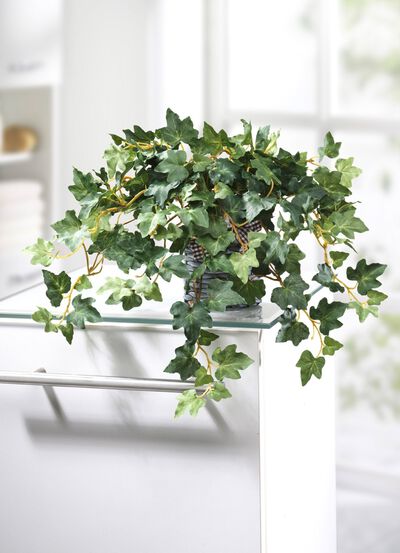 Murgr&ouml;na i en rottingkruka 