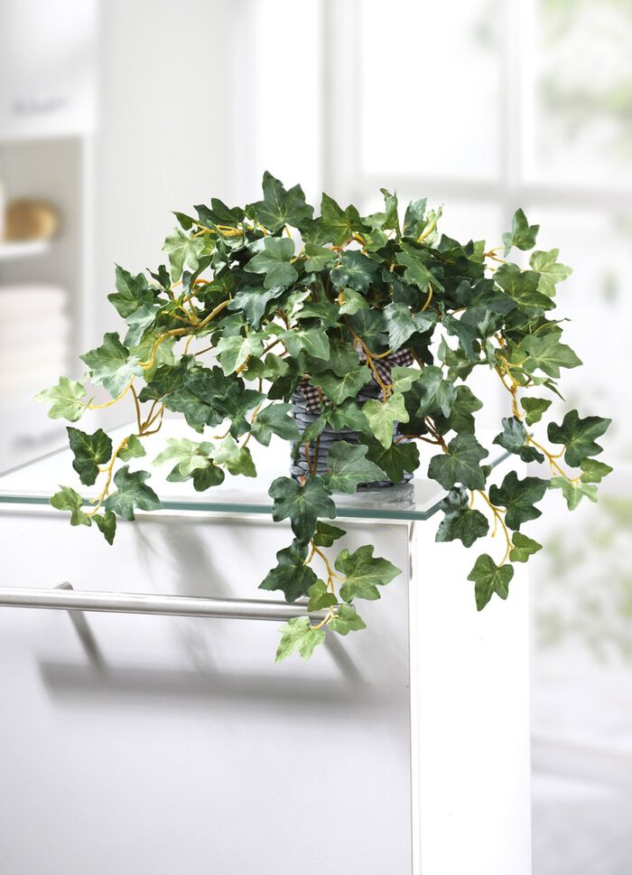 Murgr&ouml;na i en rottingkruka 