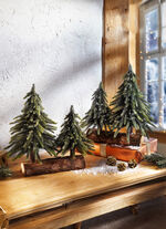 Granar på trädstam 