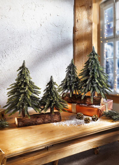 Granar på trädstam 