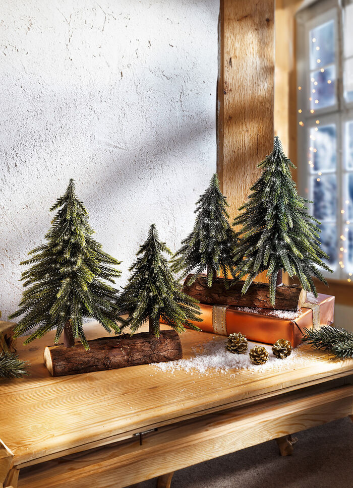 Granar på trädstam 