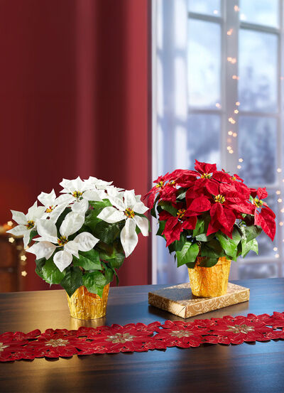 Julstj&auml;rna i kruka 