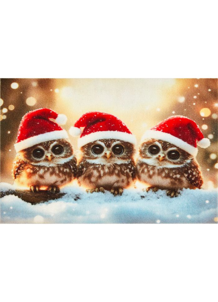 D&ouml;rrmatta med halkfri gummibaksida 