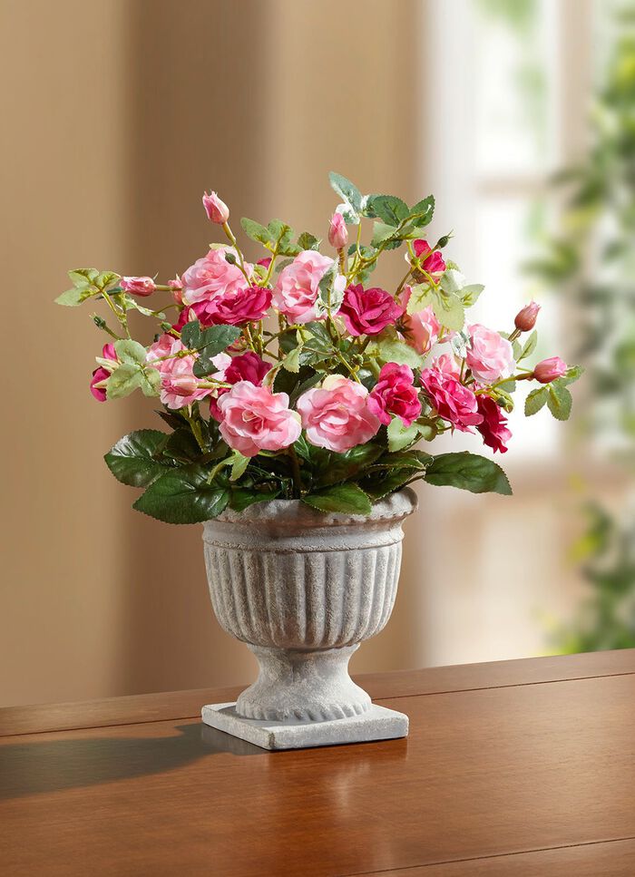 Vildrosarrangemang i trof&eacute;n 