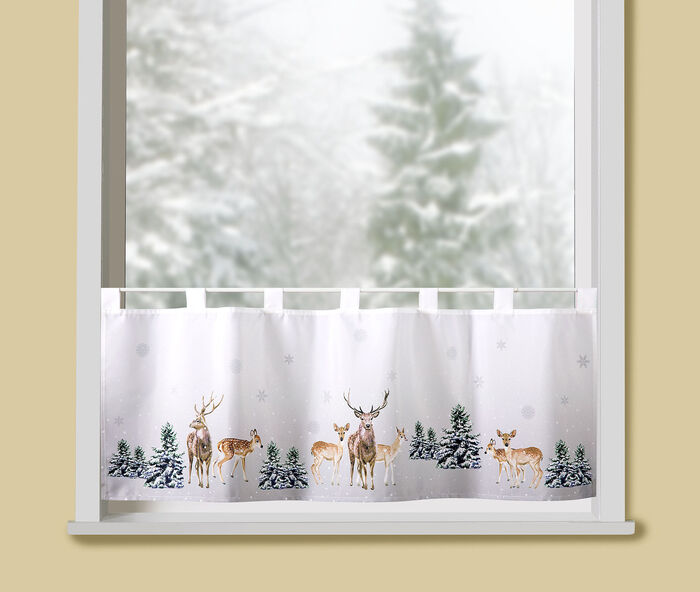 Kort grindhjort i skogen 