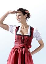 Dirndl blus med r&ouml;kinl&auml;gg 