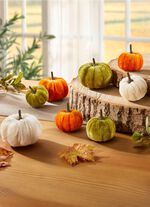 Dekorativa pumpor, set om 8 