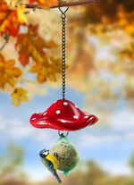 Mesbollh&aring;llare flugsvamp 