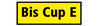 BADERsv_SE1bisCupE_detail