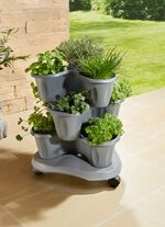 V&auml;xttorn "Trifoglio", gr&aring;tt 