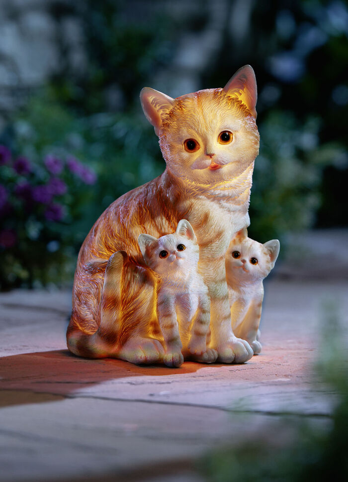 Upplyst kattfamilj 