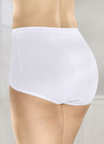Brio Lingerie fempack trosor med resår i muddarna, 