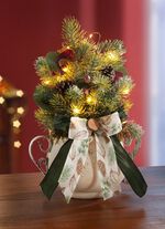 Arrangemang av belyst gran 