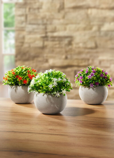 mini blommor, uppsättning av 3, , large