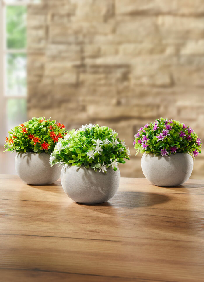 mini blommor, uppsättning av 3 
