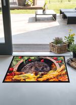 D&ouml;rrmatta med igelkottsmotiv F&Auml;RGRIK