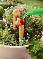 Terrakottabevattningsmaskar, set om 4 