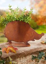 Plantera h&auml;ck i rostlook 