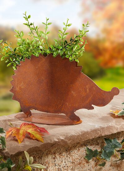 Plantera h&auml;ck i rostlook 