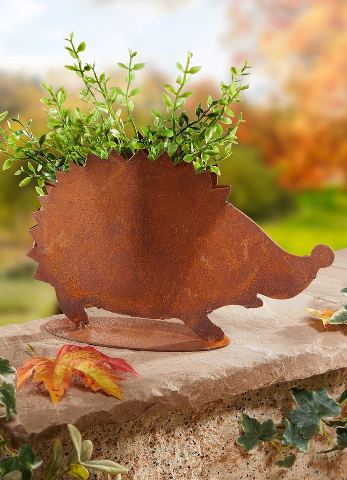 Plantera h&auml;ck i rostlook 