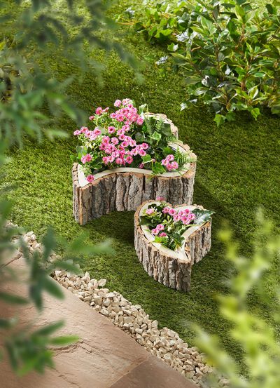 V&auml;xtk&auml;rnor av tr&auml;, 2-pack  