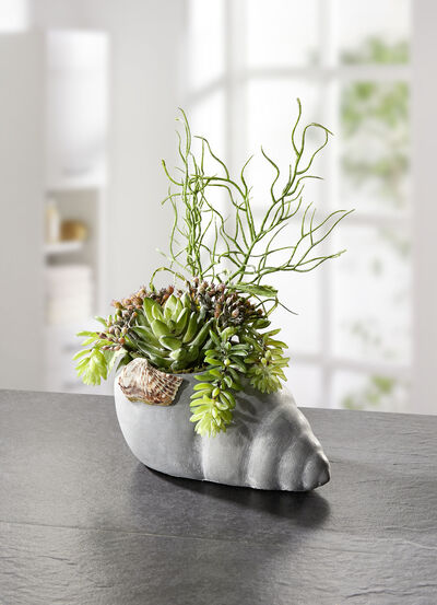 Arrangemang i musselkruka 