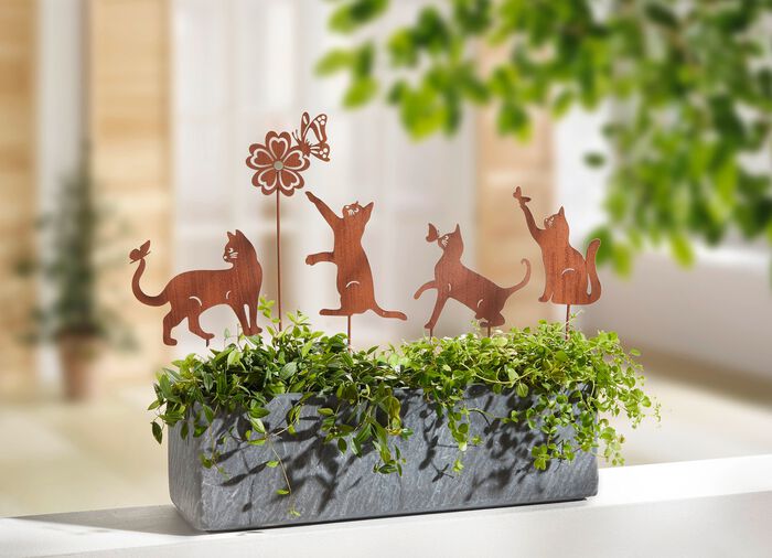 Katttr&auml;dg&aring;rdsp&aring;lar, set om 5 